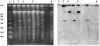 FIG. 5.