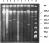 FIG. 1.