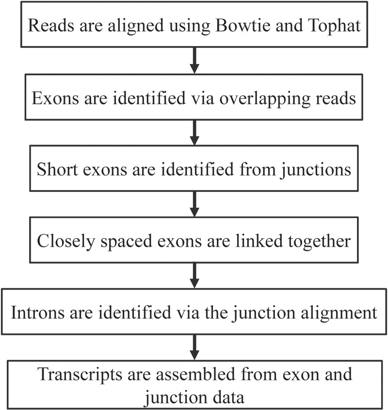 Figure 1.