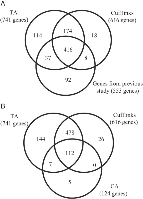 Figure 6.