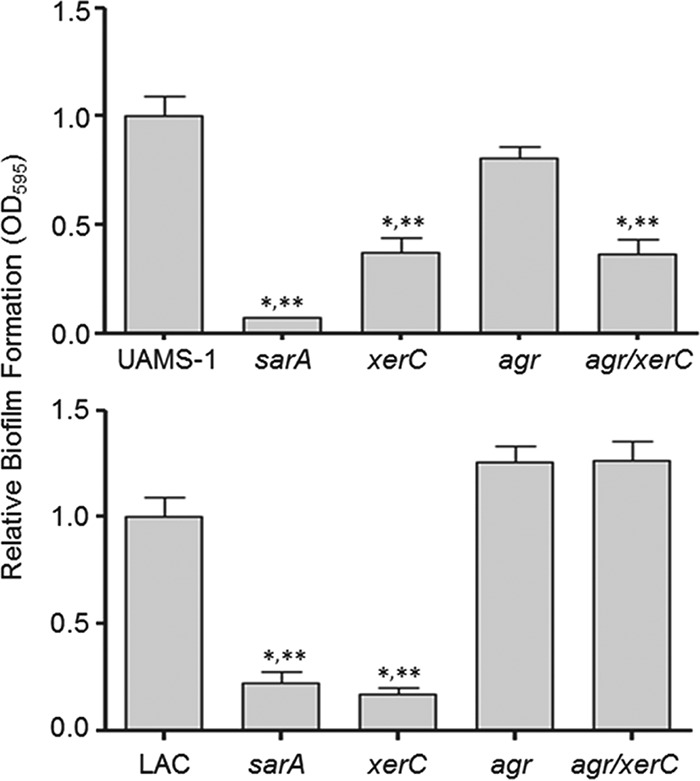 FIG 10