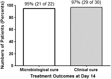 Fig. 1