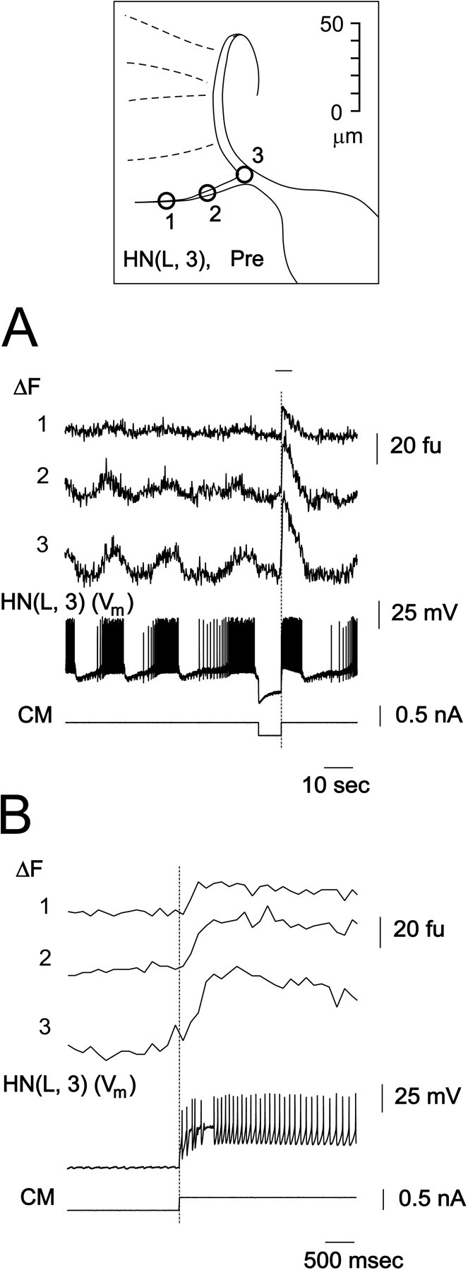 Fig. 3.