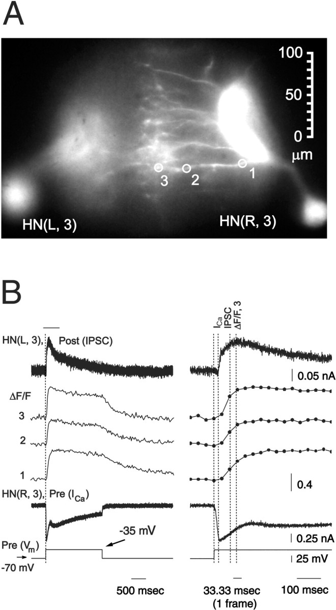 Fig. 10.