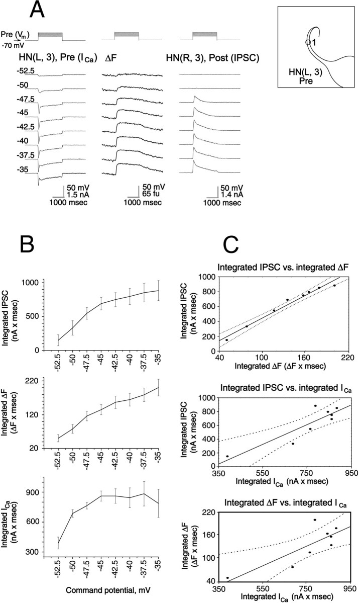 Fig. 9.