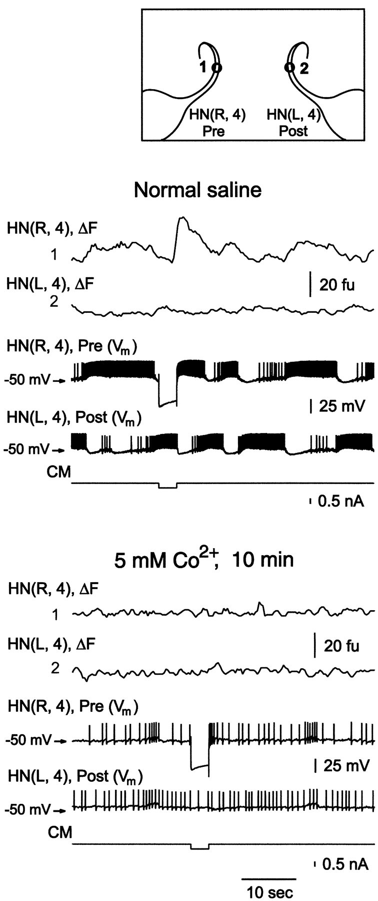 Fig. 5.