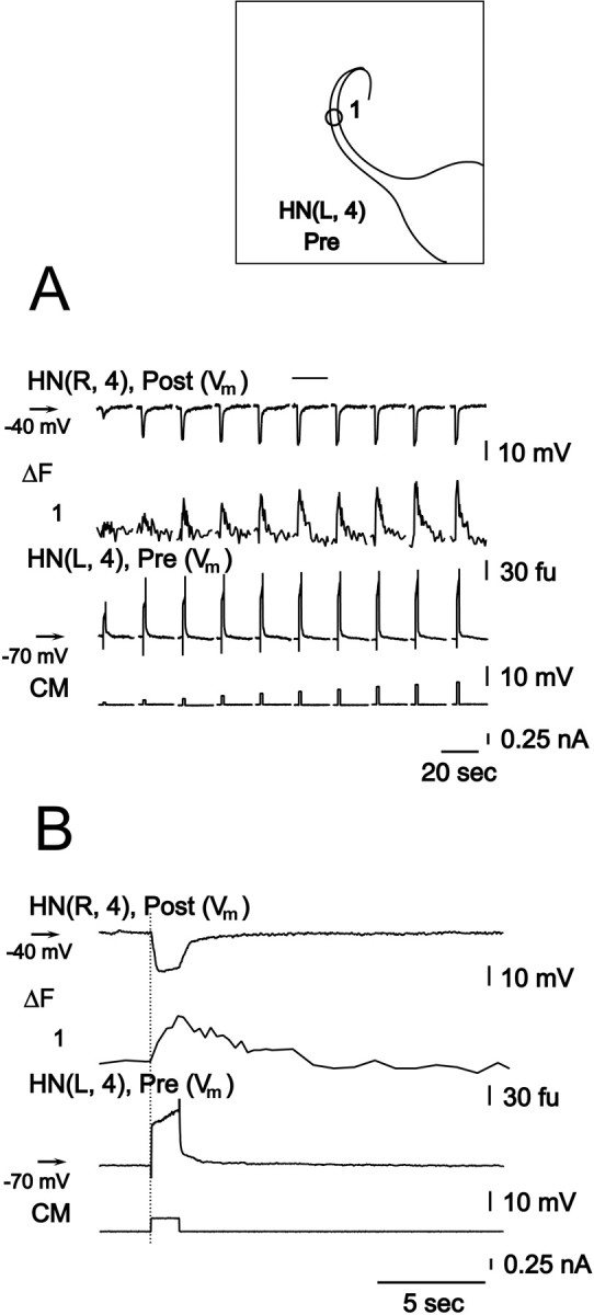 Fig. 7.