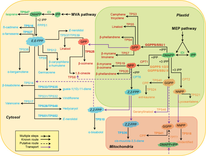 Figure 12