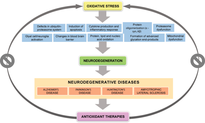 Figure 1: