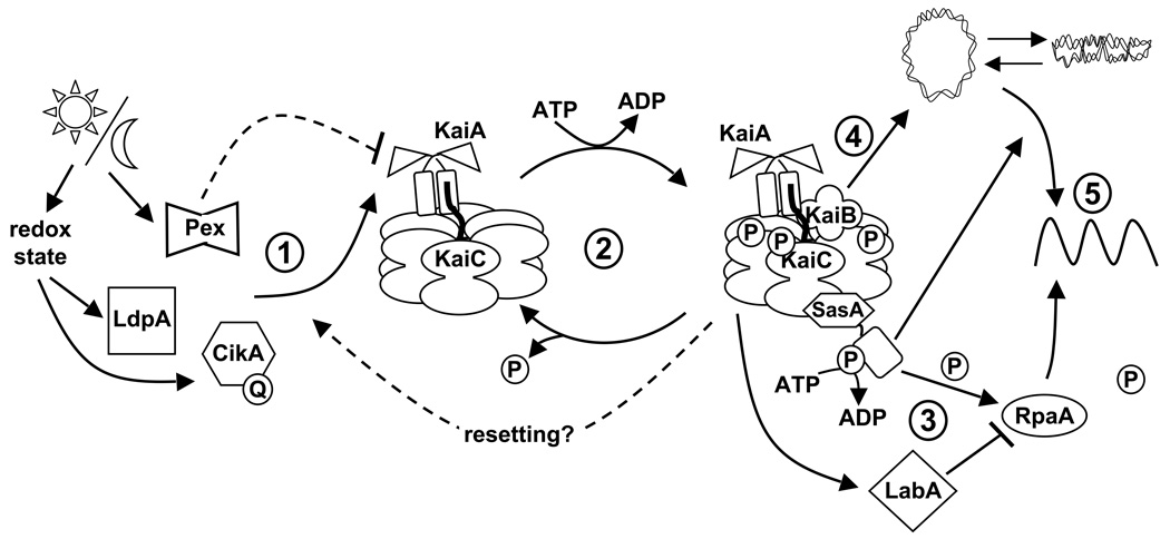 Fig. 3