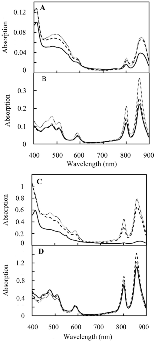 FIG 6 