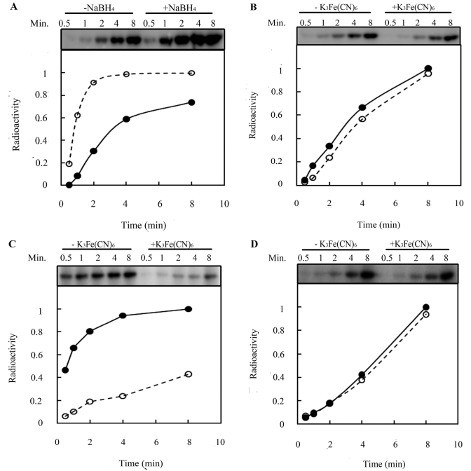 FIG 3 