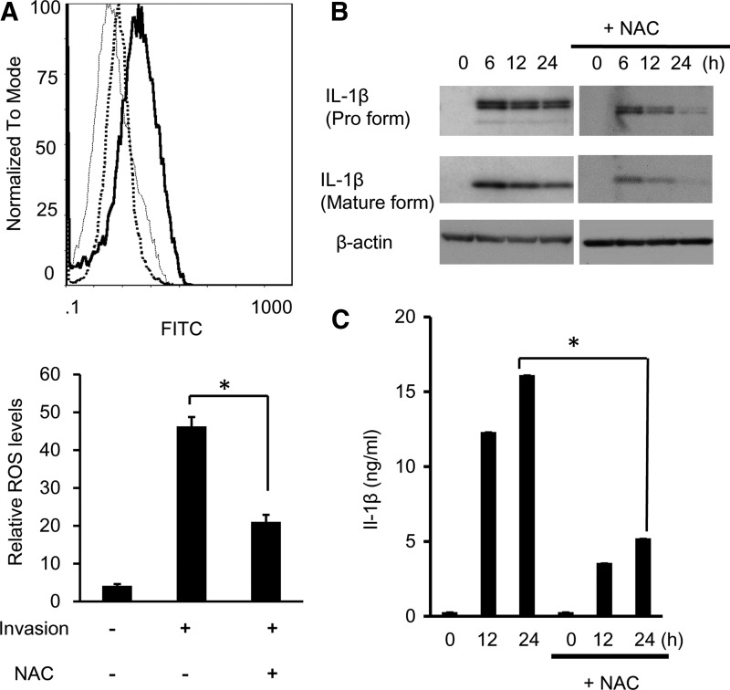 FIG. 7.