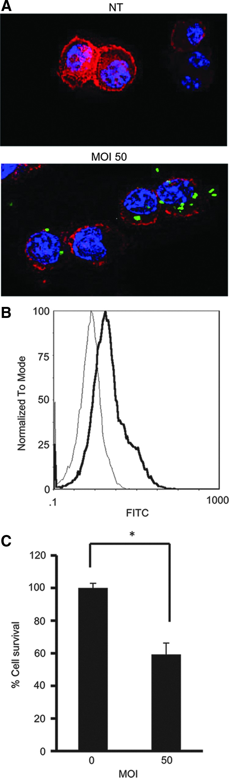 FIG. 1.