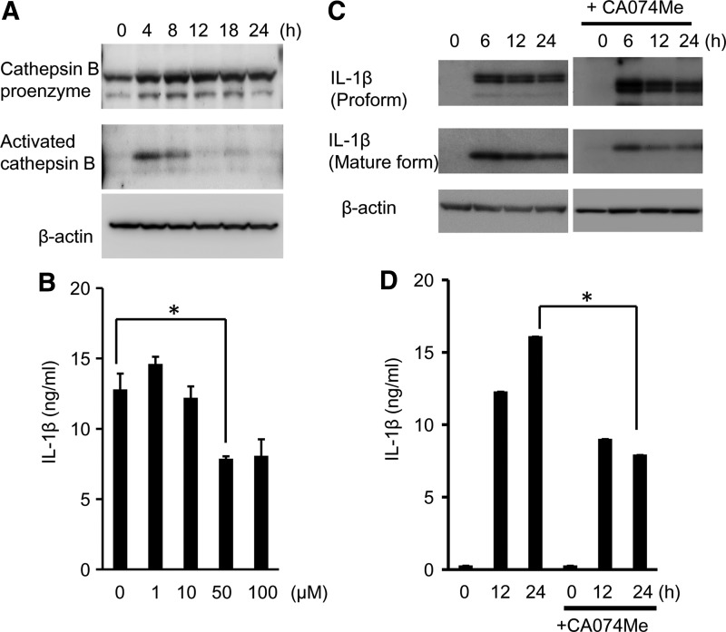 FIG. 6.