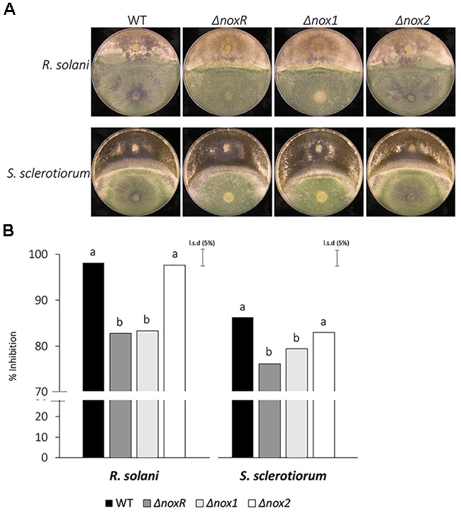 FIGURE 3