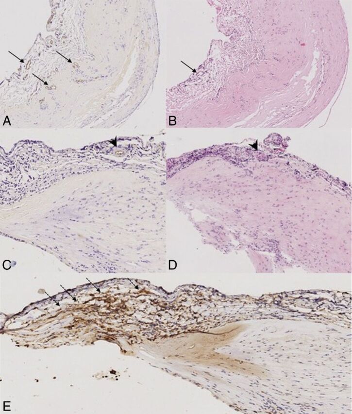 Fig 2.