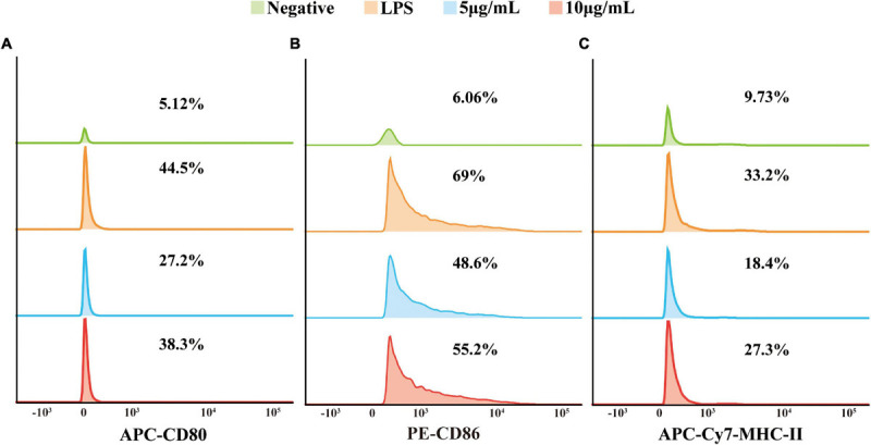 FIGURE 4