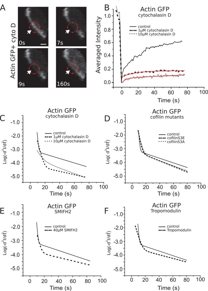 FIGURE 3: