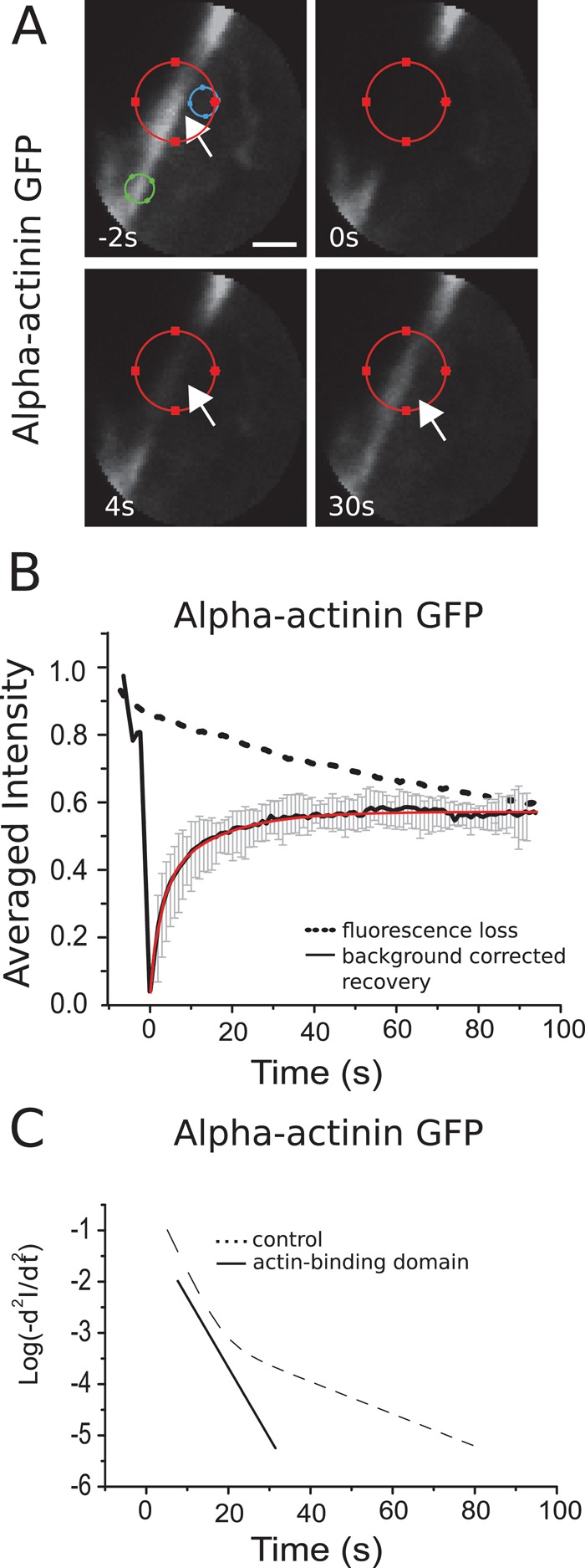 FIGURE 4: