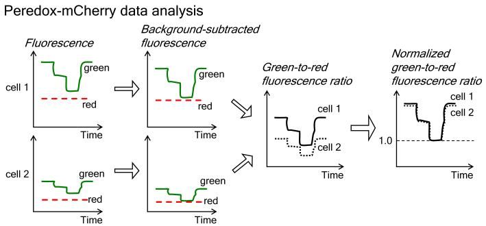 Fig. 2