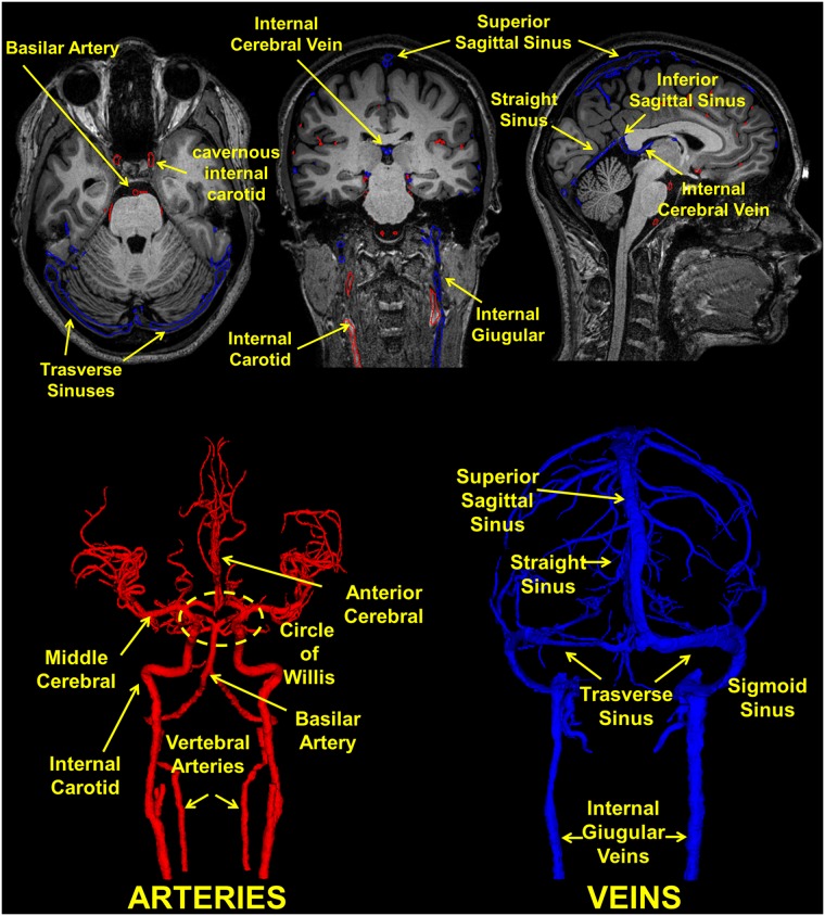 Fig 18