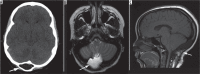 Figure 29