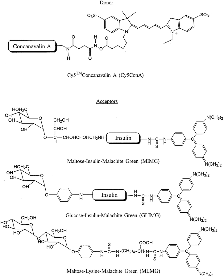 Scheme 1.