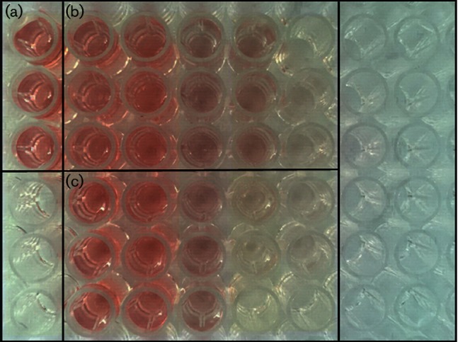 Fig. 1.