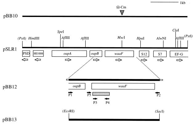 FIG. 1