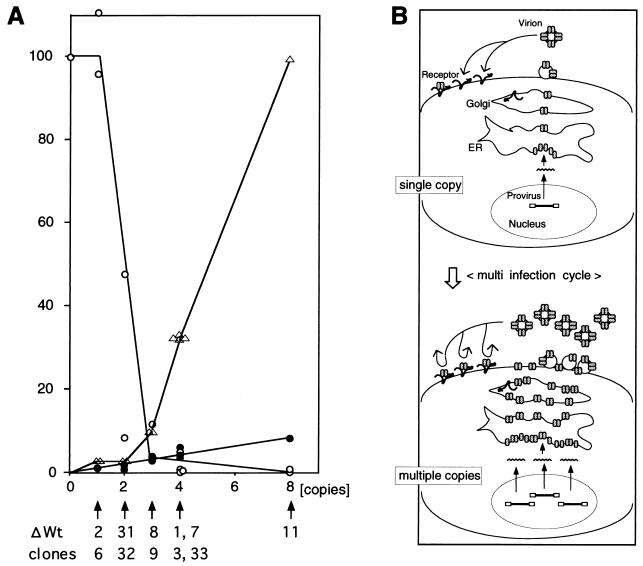 FIG. 8