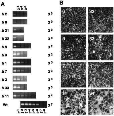 FIG. 7