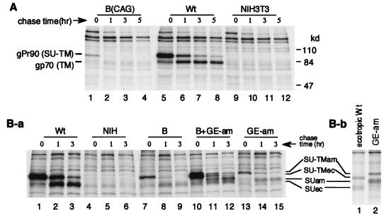 FIG. 5