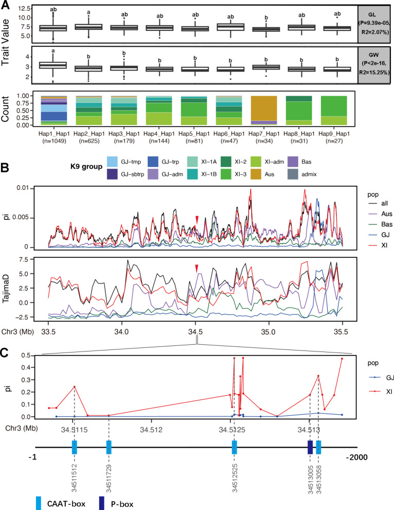 Fig. 4