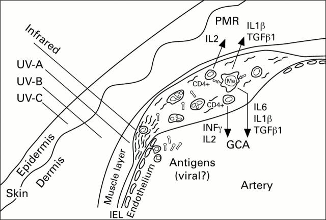 Figure 1  