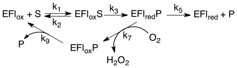 Scheme 2