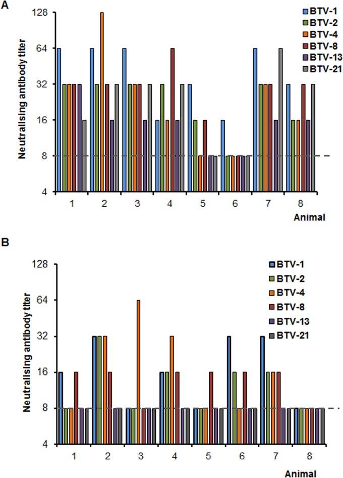 FIG 6