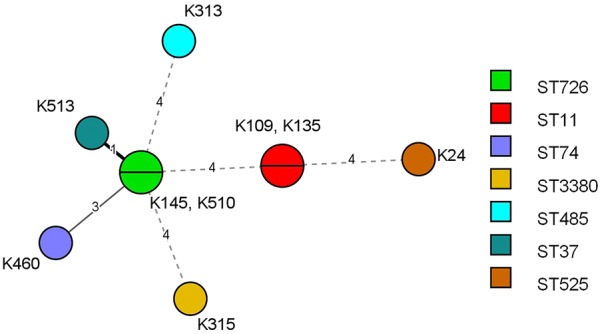 Fig. 1