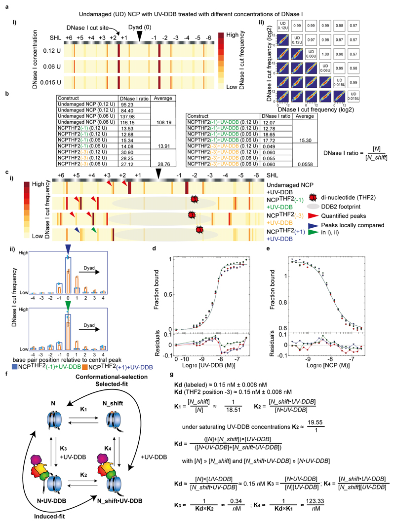 Extended Data Fig. 6