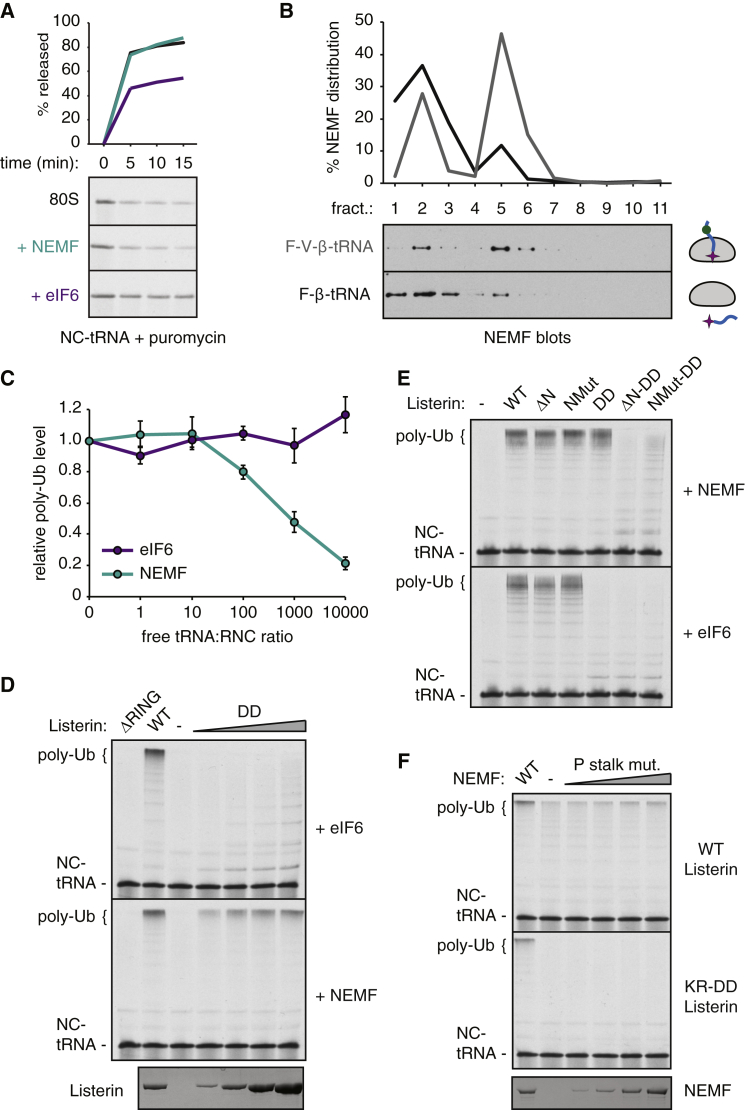 Figure 6