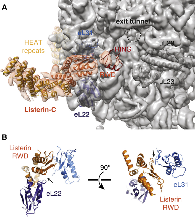 Figure 4