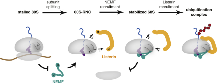 Figure 7