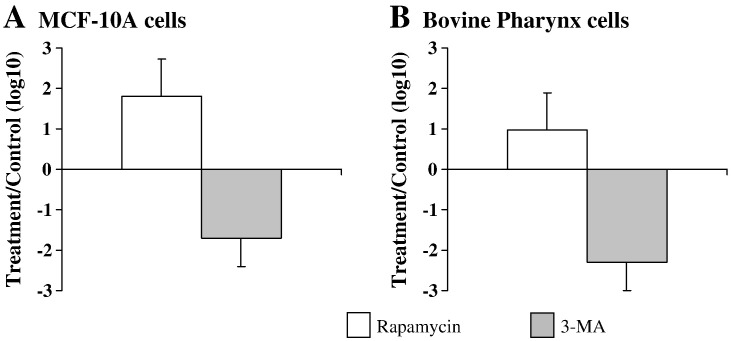 Fig. 4