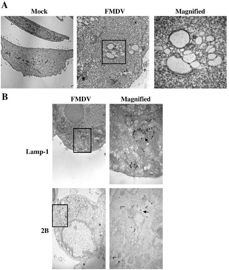 Fig. 6