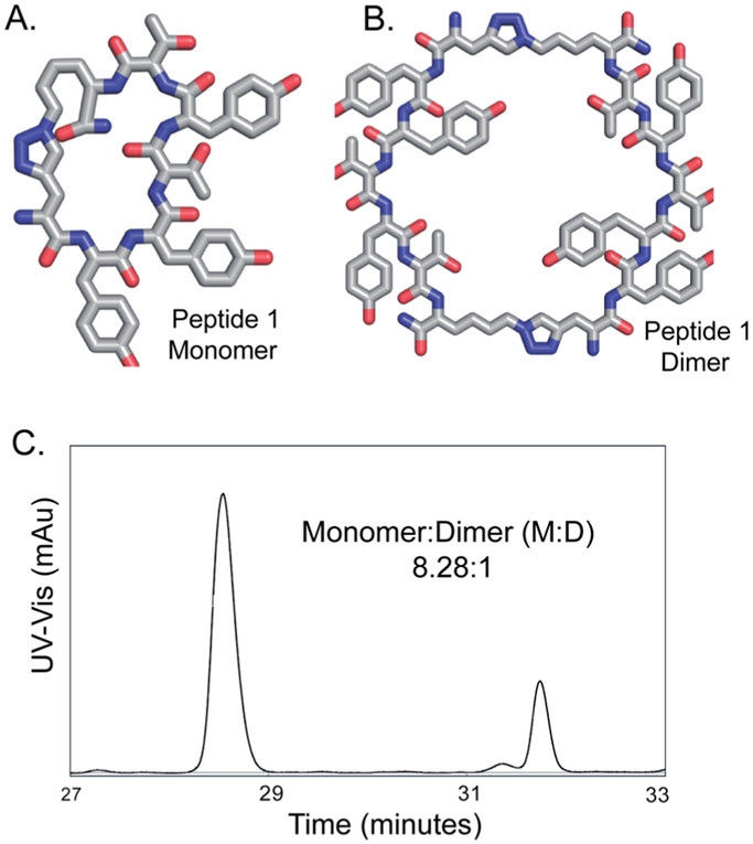 Fig. 1