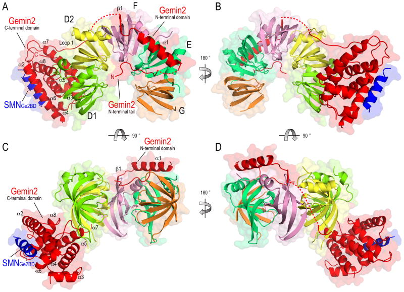 Figure 2