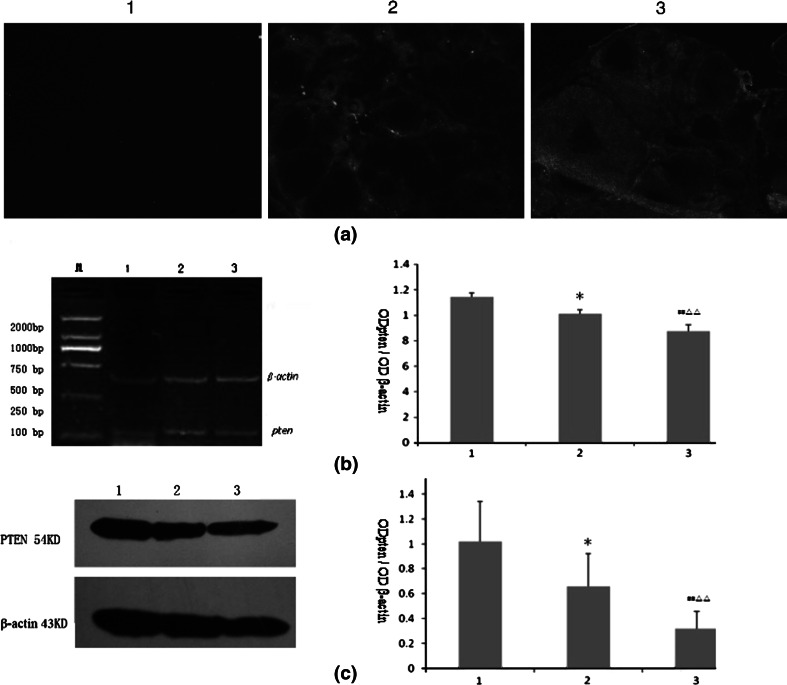 Fig. 7