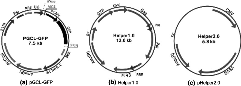 Fig. 1