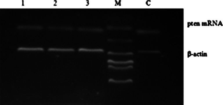 Fig. 5