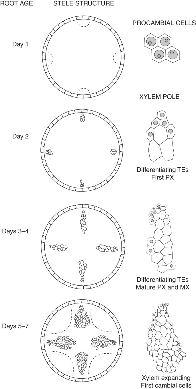 Fig. 2.